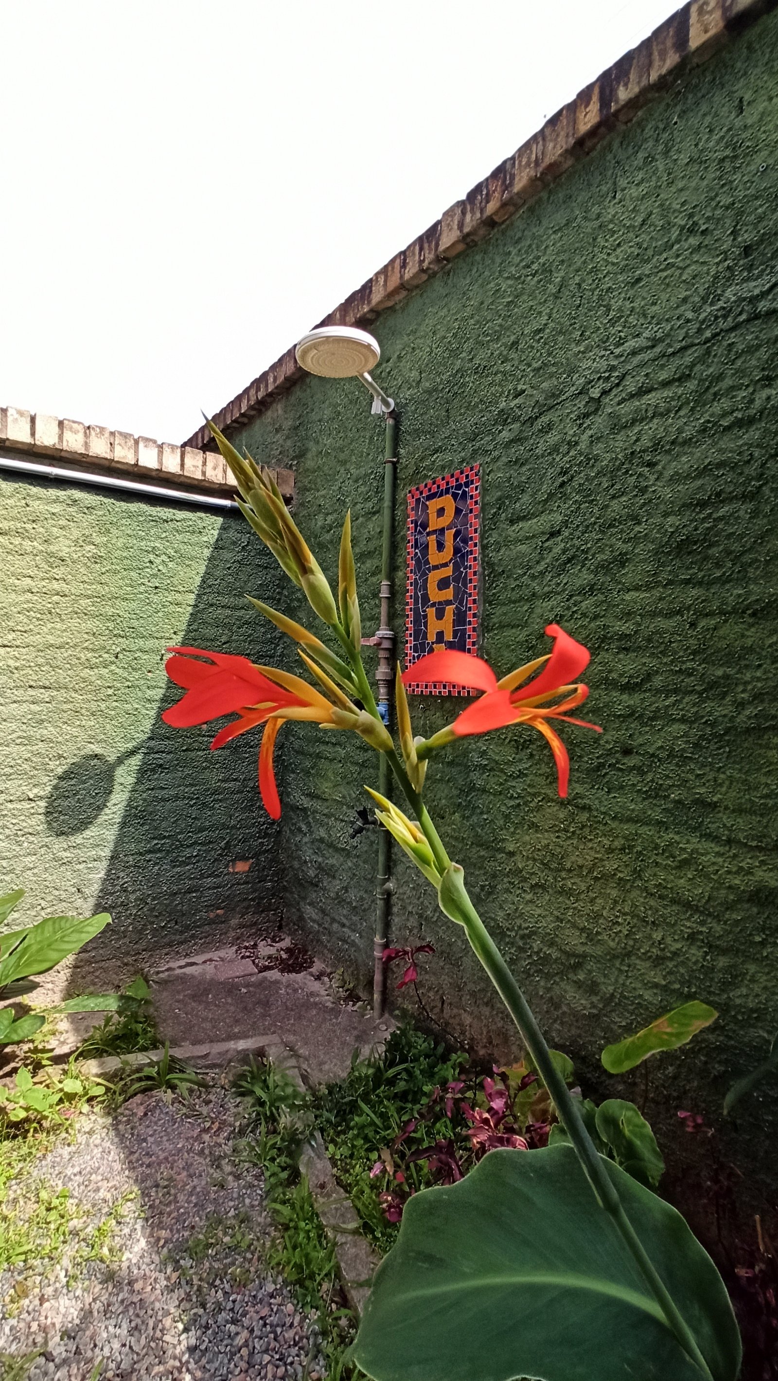 Pousada Natur Campeche - Ducha externa